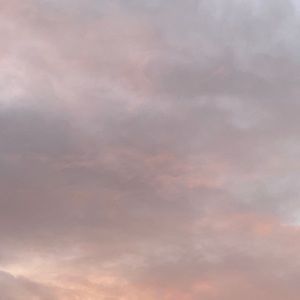 Meet your Posher, Arsh